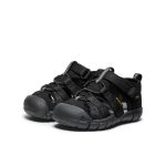 Toddlers' Seacamp II CNX  |  Black/Grey