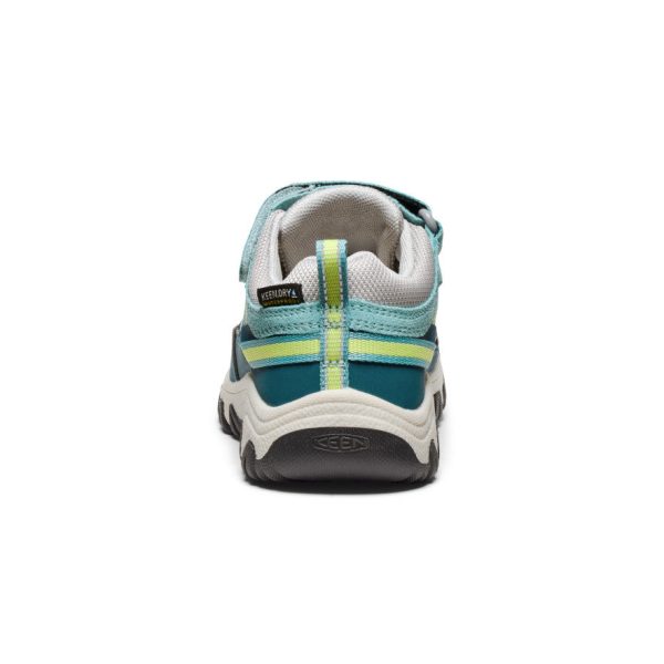 Little Kids' Targhee IV Waterproof Hiking Shoe | Reef Waters/Daiquiri Green
