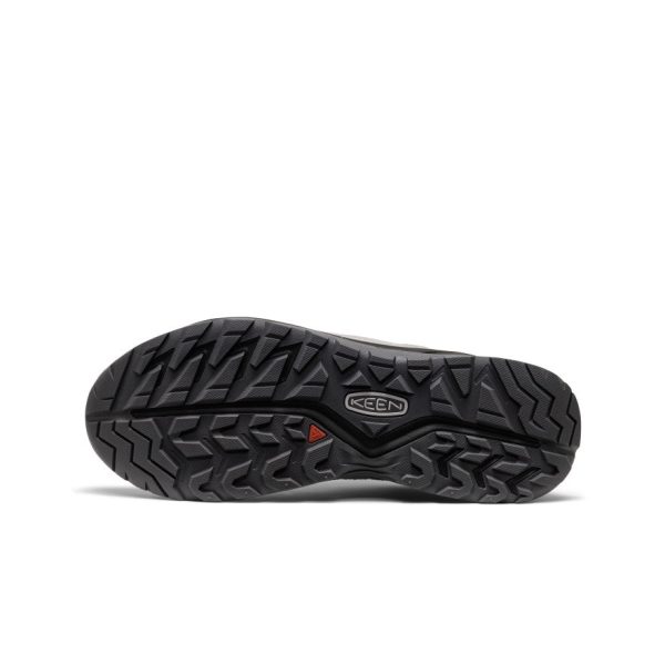 Men's Hightrail SP BAL Hiking Shoe | Vapor/Vapor