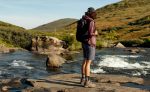 Women's Targhee IV Waterproof Hiking Boot | Bison/Beaujolais