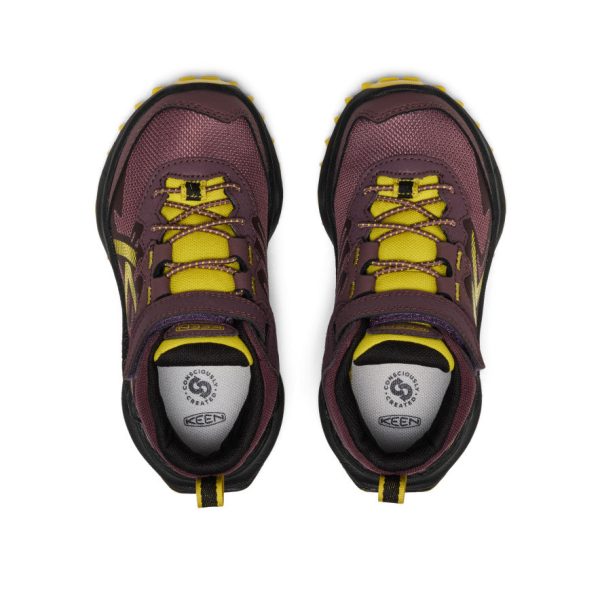 Little Kids' Zionic Waterproof Hiker | Huckleberry/Mango Mint