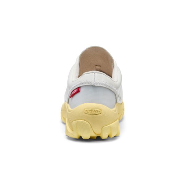 Women's Targher PHILEO Shoe  |  White