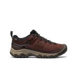 Men's Targhee IV Waterproof Hiking Shoe | Java/Bison