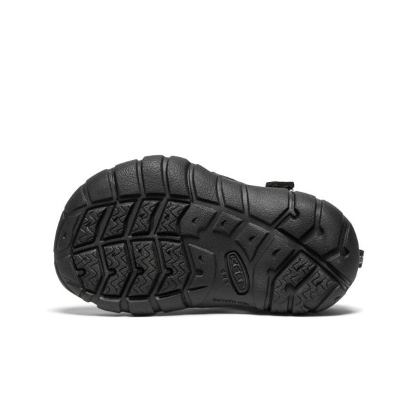 Toddlers' Seacamp II CNX  |  Black/Grey