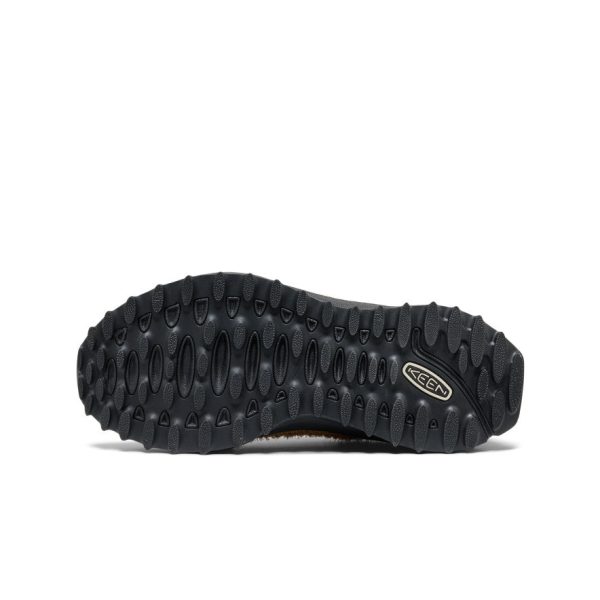 Women's Jasper Zionic Sneaker | Chipmunk/Symphonic Sunset