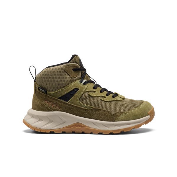 Big Kids' Hightrail Waterproof Hiking Boot | Dark Olive/Martini Olive