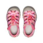 Little Kids' Newport H2 | Hot Pink/Orchid Petal
