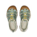 Women's Newport H2 | Tri-Block Lily Pad