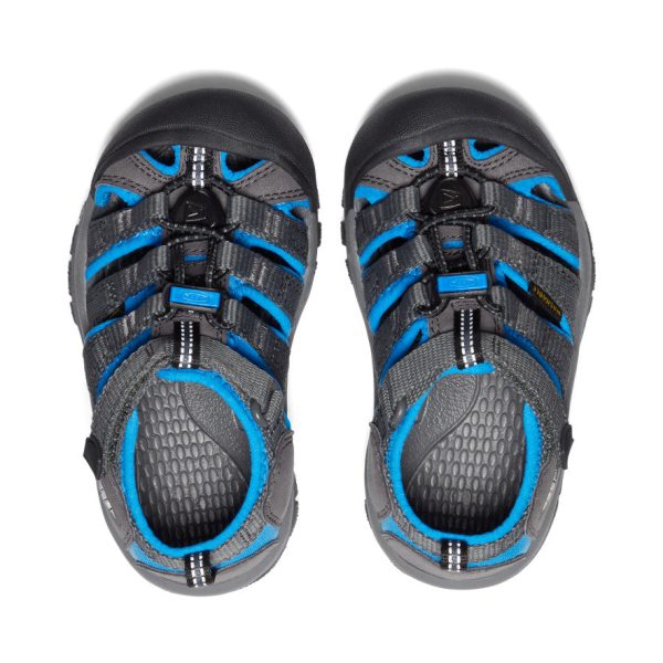 Little Kids' Newport H2 | Magnet/Brilliant Blue