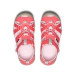 Big Kids' Seacamp II CNX | Dubarry/Giggle Pink
