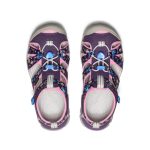 Big Kids' Seacamp II CNX | Daisies/Marina