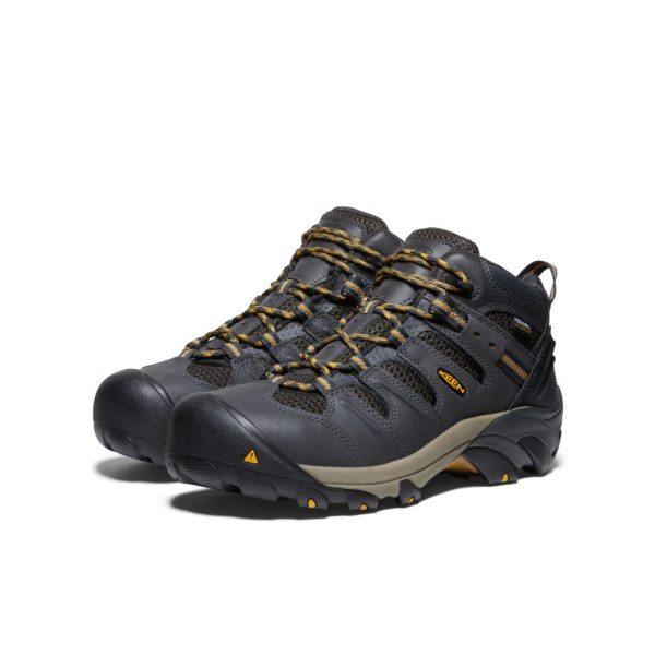 Men's Lansing Mid Waterproof (Steel Toe) | Raven/Tawny Olive