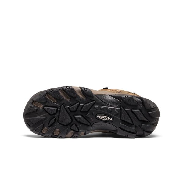 Men's Targhee II Mid Waterproof Hiking Boots  |  Black Olive/Chipmunk