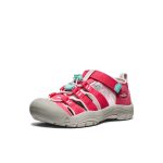 Big Kids' Newport H2  |  Raspberry/Giggle Pink