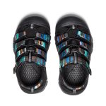 Little Kids' Newport H2 | Raya Black