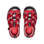 Little Kids' Seacamp II CNX  |  Ribbon Red/Alloy