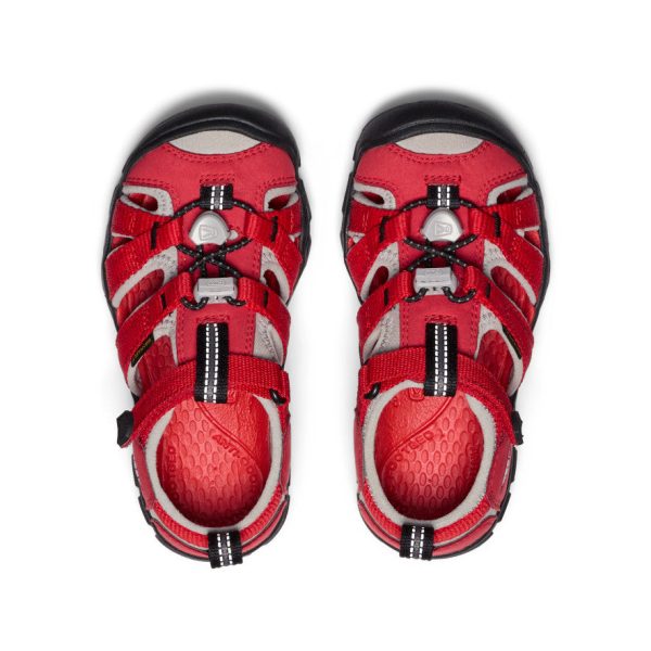 Little Kids' Seacamp II CNX  |  Ribbon Red/Alloy
