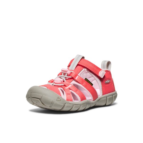 Little Kids' Seacamp II CNX | Dubarry/Giggle Pink