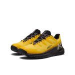 Men's Targhee Apex Waterproof Hiking Shoe  |  Symphonic Sunset/Black