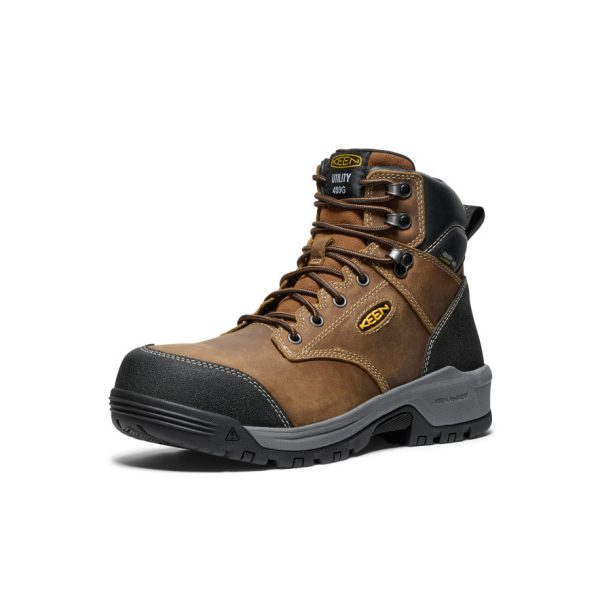 Men's Evanston 6 Insulated Waterproof Boot (Carbon Toe) | Bison/Black