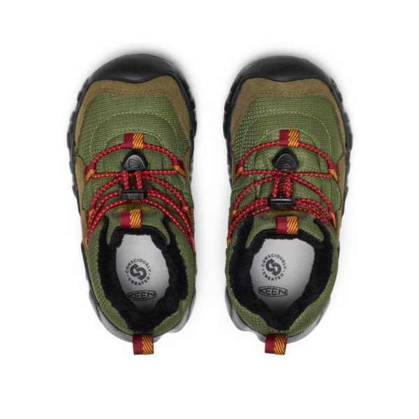 Little Kids' Hypowser Waterproof Chukka  |  Forest Night/Garnet