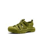 Men's Newport H2 Sandal  |  Monochrome/Golden Cyprus