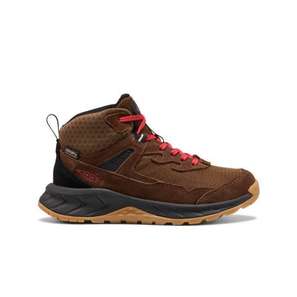 Big Kids' Hightrail Waterproof Hiking Boot | Dark Earth/Garnet