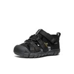 Toddlers' Seacamp II CNX  |  Black/Grey
