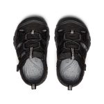 Toddlers' Seacamp II CNX  |  Black/Grey