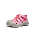 Little Kids' Newport H2 | Hot Pink/Orchid Petal