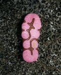 Men's Hyperport H2 Sandal x Hiking Patrol | Okenia Pink