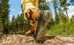 Men's Targhee IV Waterproof Hiking Boot  |  Tumbled Java