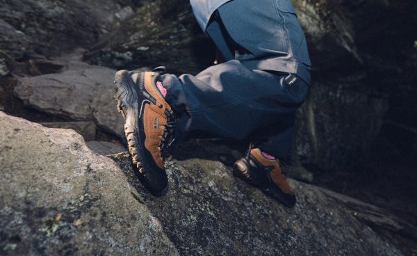 Men's Targhee IV Wide Waterproof Hiking Shoe | Bison/Black