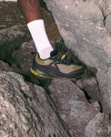 Men's Roam Trail Running Shoe | Brindle/Dark Earth