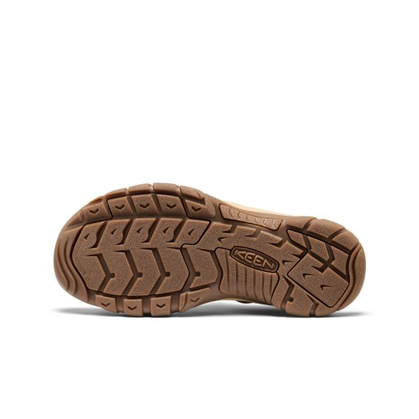 Men's Newport H2 Sandal | Gradient Bison