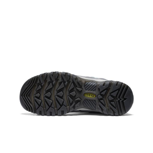 Women's Targhee IV Waterproof Hiking Shoe | Alloy/Granite Green