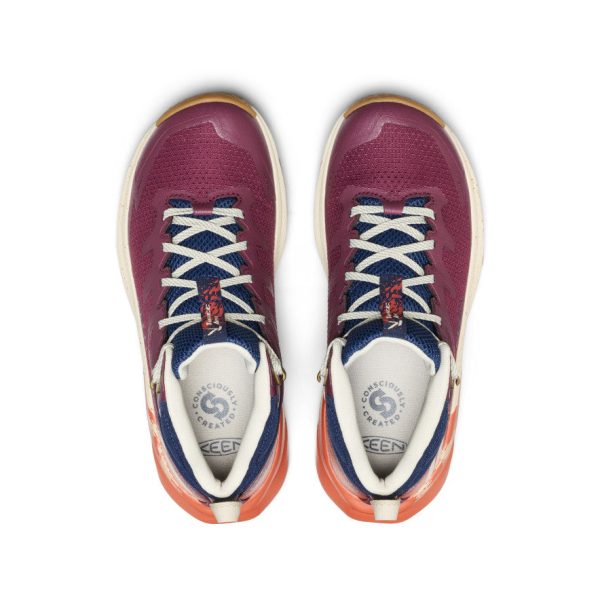 Women's Targhee Apex Waterproof Hiking Boot  |  Fig/Burnt Brick