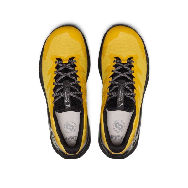 Men's Targhee Apex Waterproof Hiking Shoe  |  Symphonic Sunset/Black