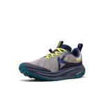Men's Roam Trail Running Shoe  |  Alloy/Evening Primrose