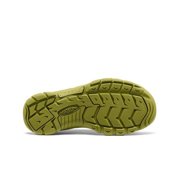 Men's Newport H2 Sandal  |  Monochrome/Golden Cyprus