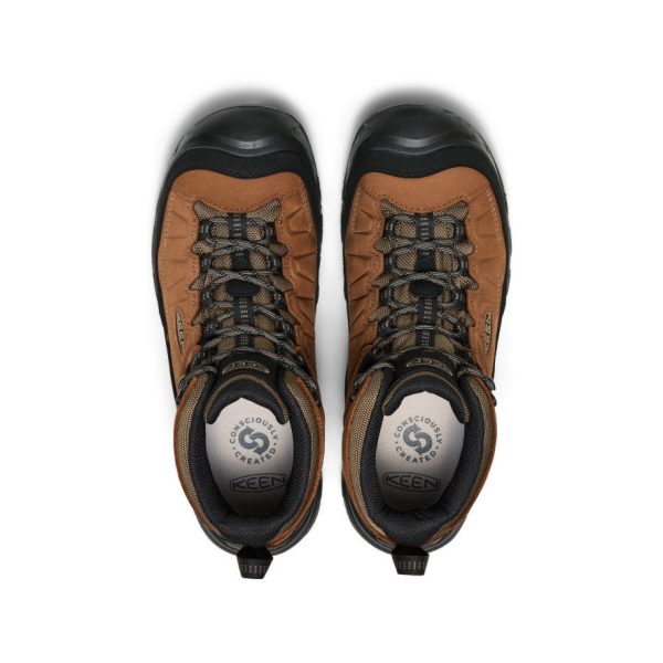 Men's Targhee IV Waterproof Hiking Boot  |  Bison/Black