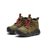 Little Kids' Hypowser Waterproof Chukka  |  Forest Night/Garnet