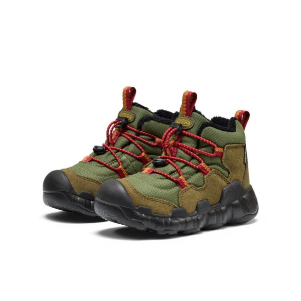 Little Kids' Hypowser Waterproof Chukka  |  Forest Night/Garnet