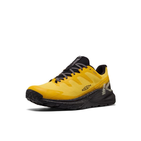 Men's Targhee Apex Waterproof Hiking Shoe  |  Symphonic Sunset/Black