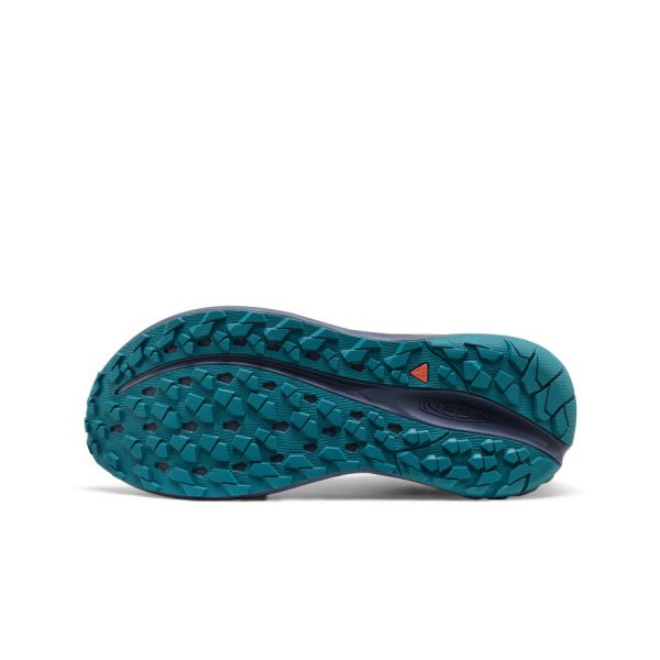 Men's Roam Trail Running Shoe  |  Alloy/Evening Primrose