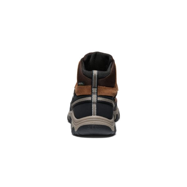Big Kids' Targhee IV Waterproof Hiking Boot | Bison/Brindle