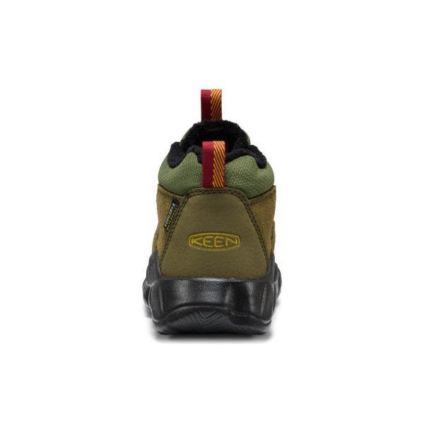 Little Kids' Hypowser Waterproof Chukka  |  Forest Night/Garnet