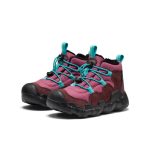 Little Kids' Hypowser Waterproof Chukka | Huckleberry/Violet Quartz